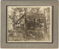 DPA0441--thumbnail.jpg