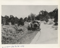 na014473--thumbnail.jpg