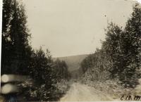 na021369--thumbnail.jpg