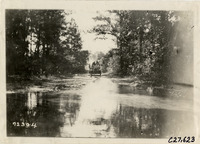 na031191--thumbnail.jpg