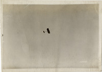 na003167--thumbnail.jpg