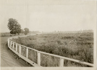 na003171--thumbnail.jpg