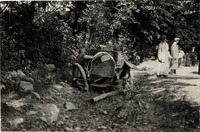 na041262--thumbnail.jpg
