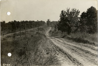 na026546--thumbnail.jpg
