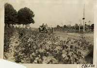 na029577--thumbnail.jpg