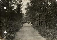 na026547--thumbnail.jpg