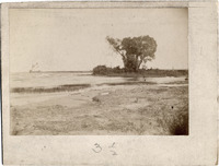DPA0467--thumbnail.jpg