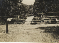 na011967--thumbnail.jpg