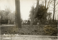 na030690--thumbnail.jpg