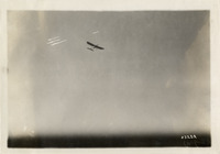 na003195--thumbnail.jpg