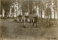 na019389--thumbnail.jpg