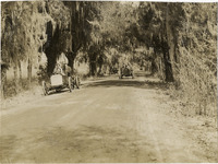na013454--thumbnail.jpg