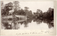 DPA0490--thumbnail.jpg