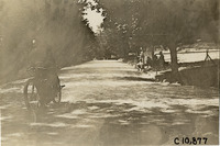 na009831--thumbnail.jpg