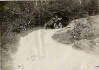 na031233--thumbnail.jpg