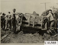 na009312--thumbnail.jpg
