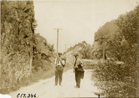 na019407--thumbnail.jpg