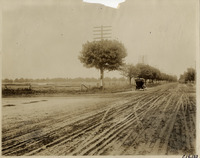 na015611--thumbnail.jpg