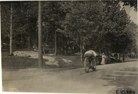 na009839--thumbnail.jpg