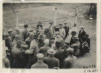 na013475--thumbnail.jpg
