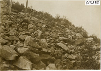 na019413--thumbnail.jpg