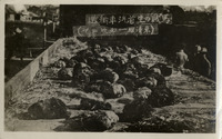 na001957--thumbnail.jpg
