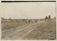 na003224--thumbnail.jpg