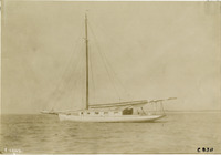 na004869--thumbnail.jpg
