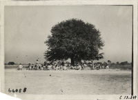 na013477--thumbnail.jpg