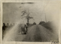 na020623--thumbnail.jpg