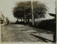 na015617--thumbnail.jpg