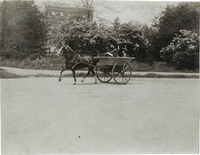 na005440--thumbnail.jpg