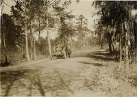 na012952--thumbnail.jpg