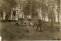 na019427--thumbnail.jpg