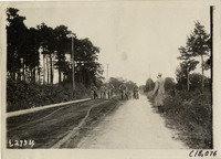 na020638--thumbnail.jpg