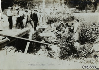 na020960--thumbnail.jpg