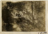 na029646--thumbnail.jpg