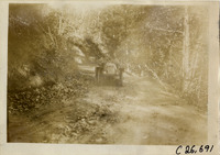na029647--thumbnail.jpg