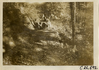 na029648--thumbnail.jpg