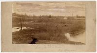 DPA0554--thumbnail.jpg