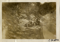 na029652--thumbnail.jpg