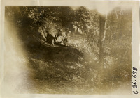 na029654--thumbnail.jpg