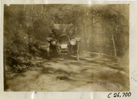 na029656--thumbnail.jpg