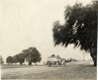 na005477--thumbnail.jpg