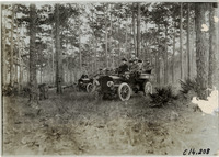 na014575--thumbnail.jpg