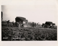 na032636--thumbnail.jpg