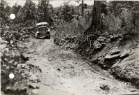 na044193--thumbnail.jpg