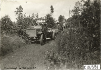 na009356--thumbnail.jpg