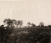 na008796--thumbnail.jpg