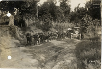 na026620--thumbnail.jpg